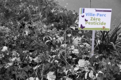 MJC-Zero-pesticide