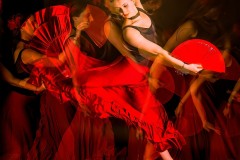 TARDY René Danse gitane